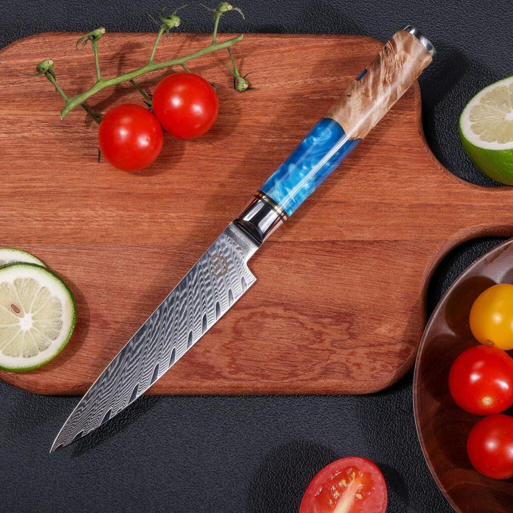 Chef Knife 8 inch, Fukep Damascus Chef Knife VG10 Core Steel with 66-Layers High Carbon Professional Sharp Chefs Knife 8 Blade Ergonomic Beautiful Blue Resin Handle Gift Boxed