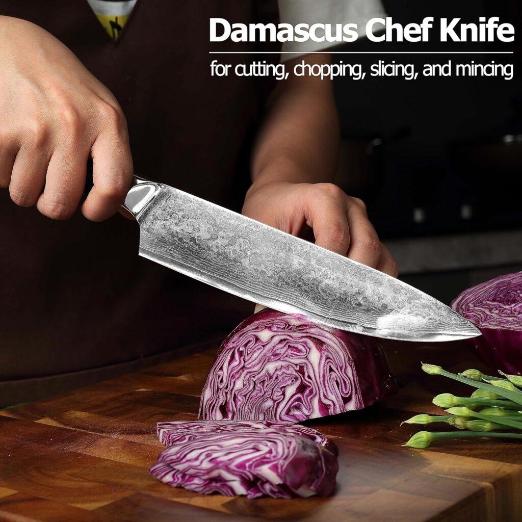 PAUDIN Chef Knife, 8 Inch High Carbon Stainless Steel Sharp Kitchen Knife with Ergonomic Handle, Gift Box for Family  Restaurant