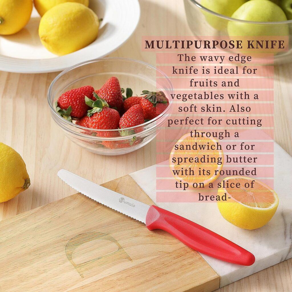 Mumulo Serrated Paring Knife, 4 Incn Small Knife, German Stainless Steel Fruit and Vegetable Knife, Kitchen Knife Ideal for fruit and vegetable (Red)