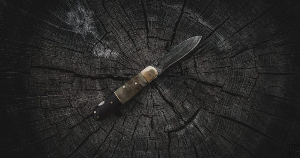 Representative folding pocket knife resting on a weathered tree stump