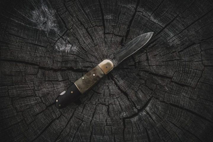 Representative folding pocket knife resting on a weathered tree stump